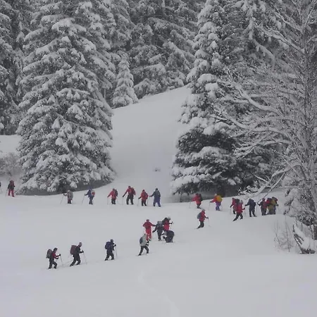 Auf Der Sonnenseite * شاتوالد