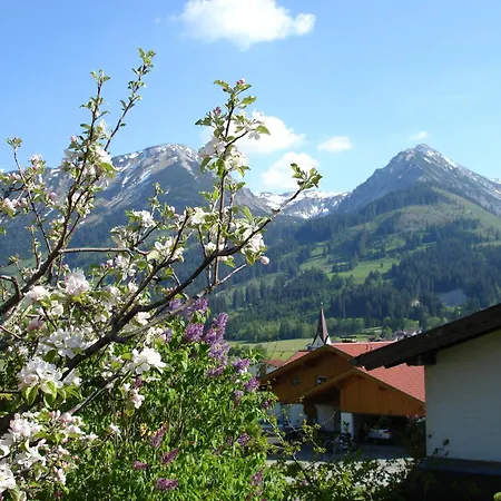 Auf Der Sonnenseite Schattwald