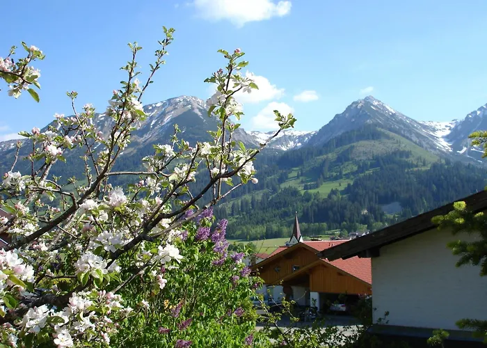 Auf Der Sonnenseite シャットヴァルト