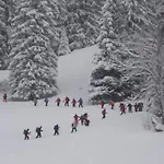 Auf Der Sonnenseite * Schattwald