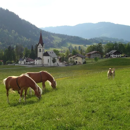 Apartament Auf Der Sonnenseite