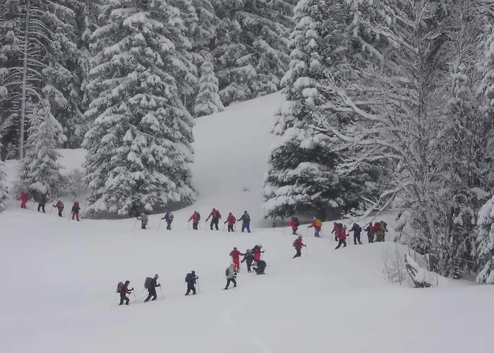 Auf Der Sonnenseite * Шаттвальд