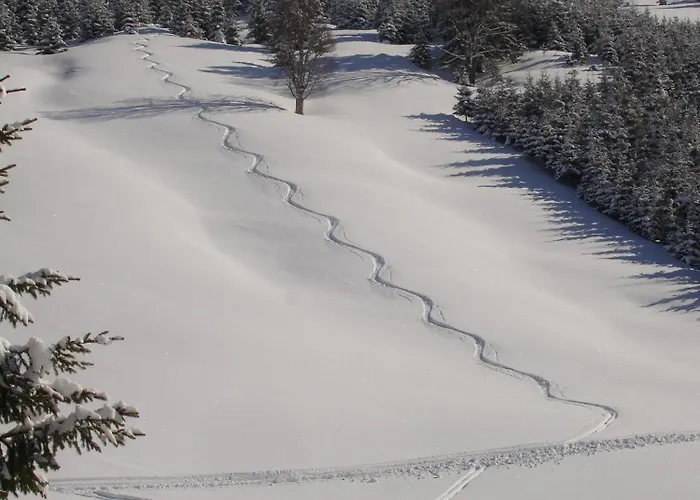 Апартаменты Auf Der Sonnenseite *